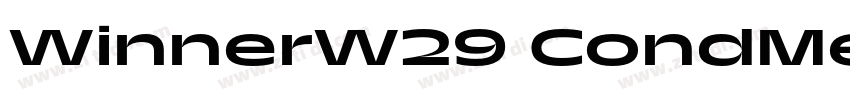 WinnerW29 CondMedium字体转换
